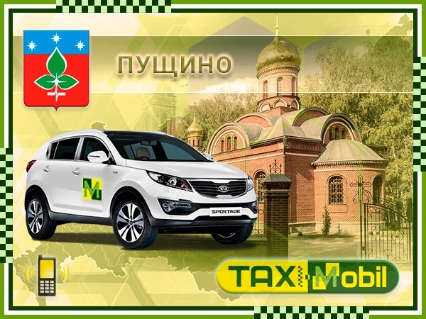 Такси в Внуково из Пущино