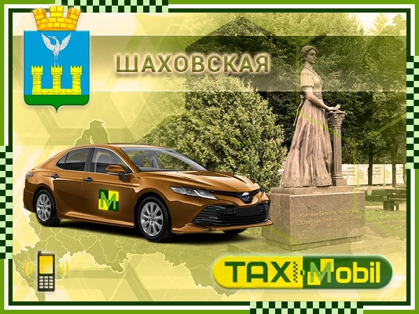 Такси из Шаховской в Домодедово
